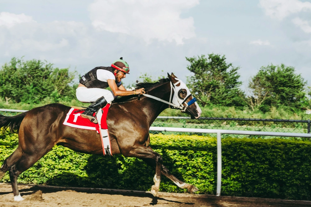 Dream About Horse Racing 3467